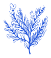 Seaweed-Icon-2_Blue-1