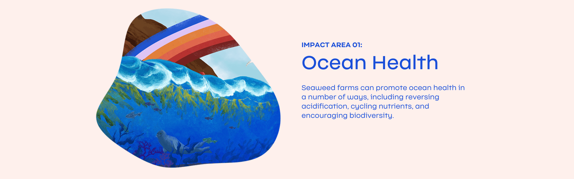 Impact-Slide-1_Ocean-Health-1