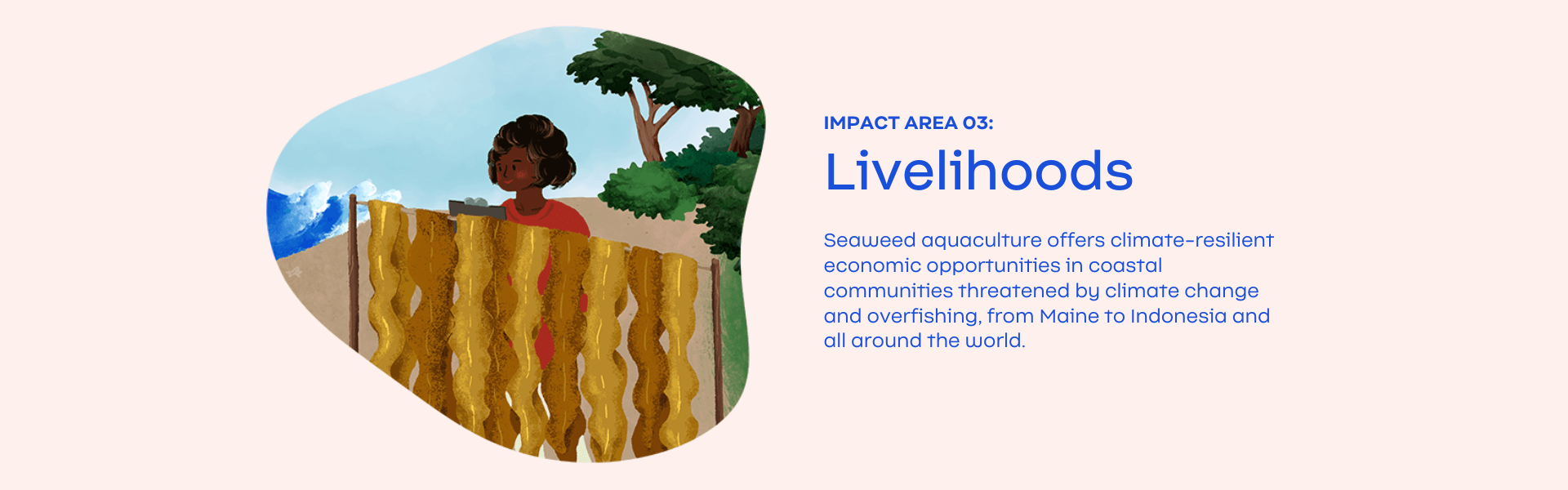 Impact-Slide-3_Livelihoods