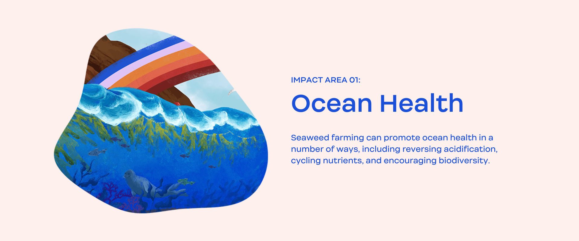 Impact-Slide-1_Ocean-Health-4