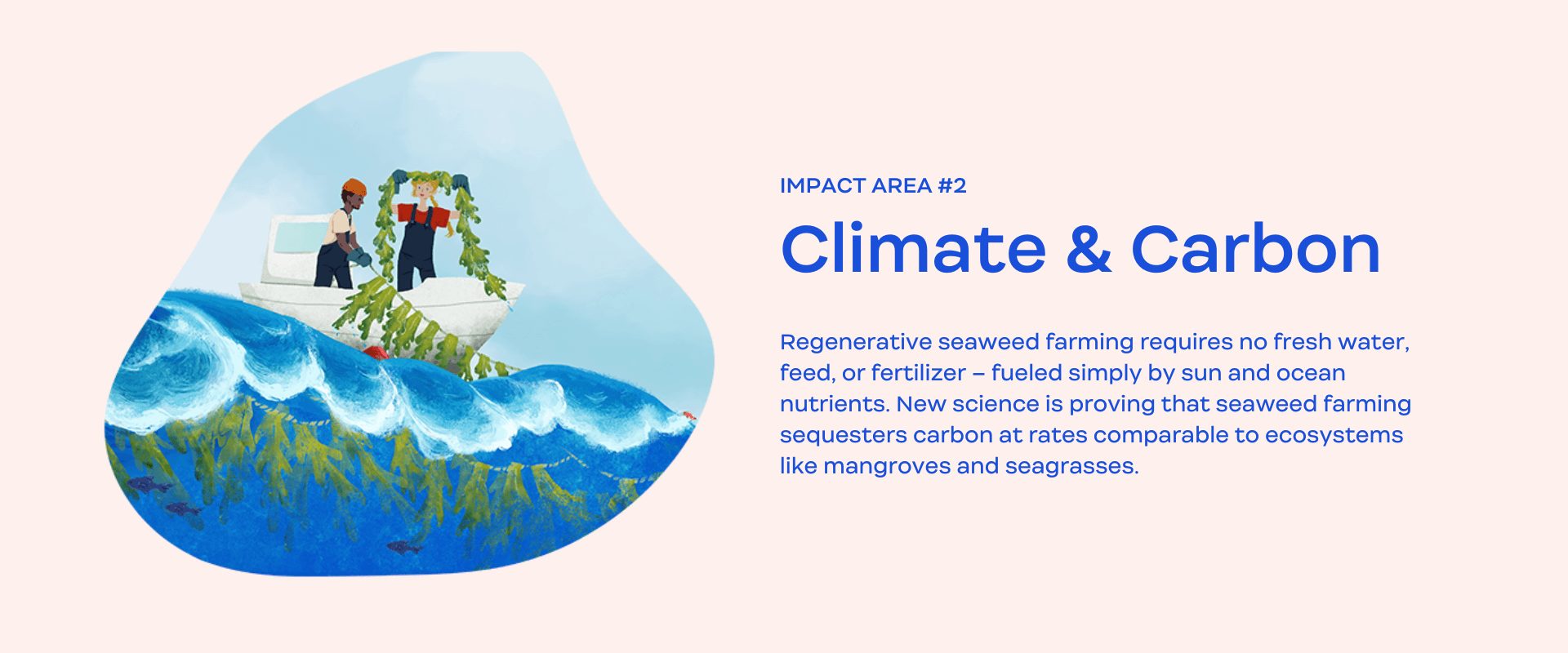 Impact Slide 2_Climate and Carbon