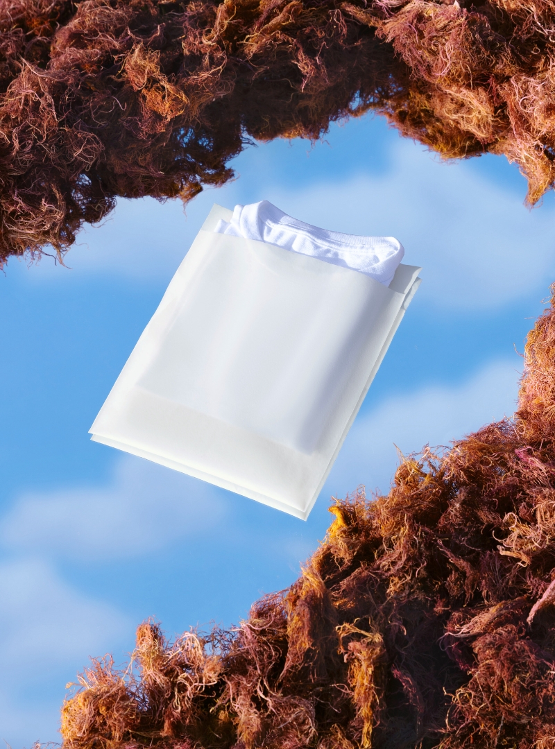 Sway Polybag_Mirror