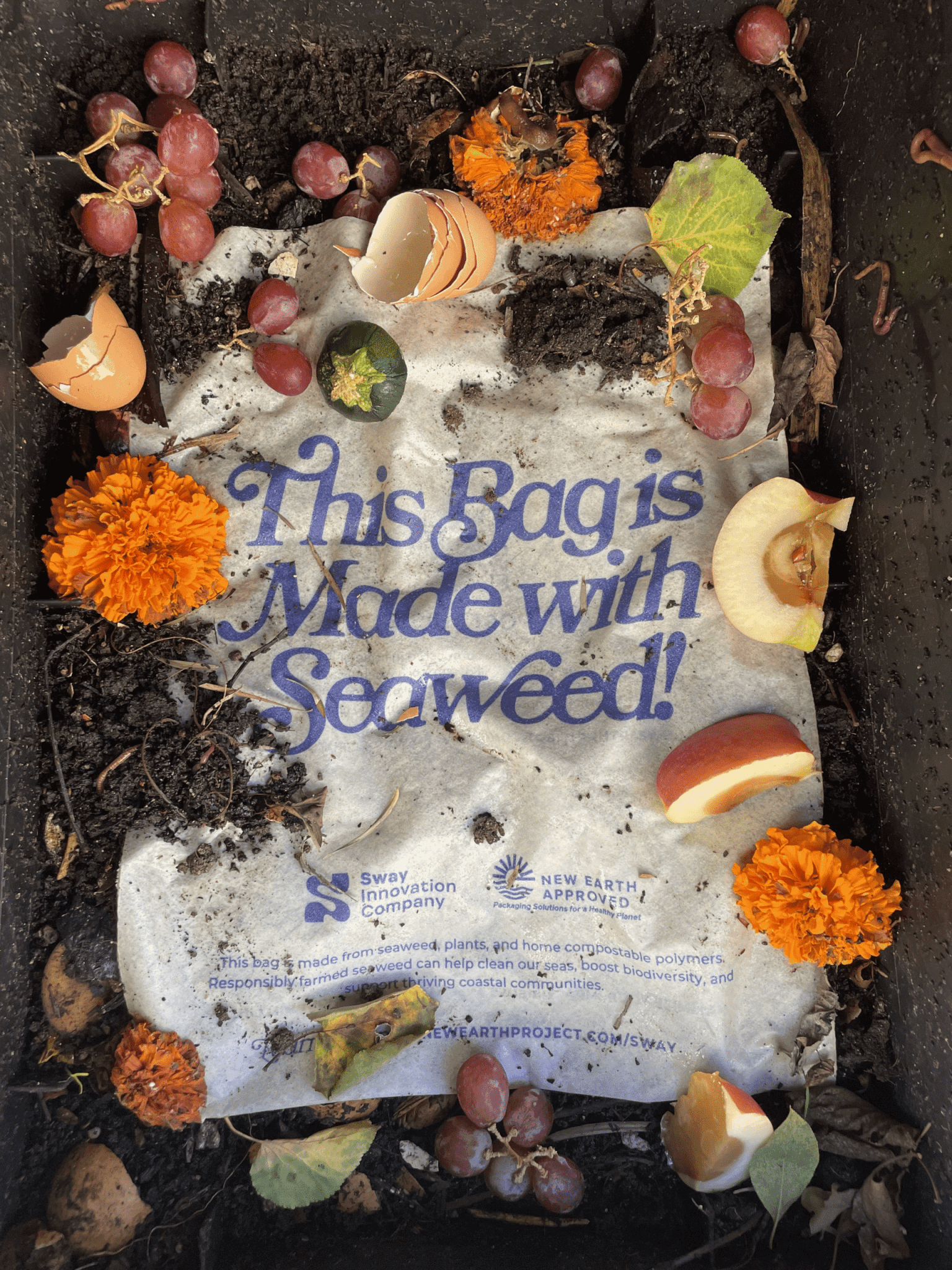 Sway Polybag Compost