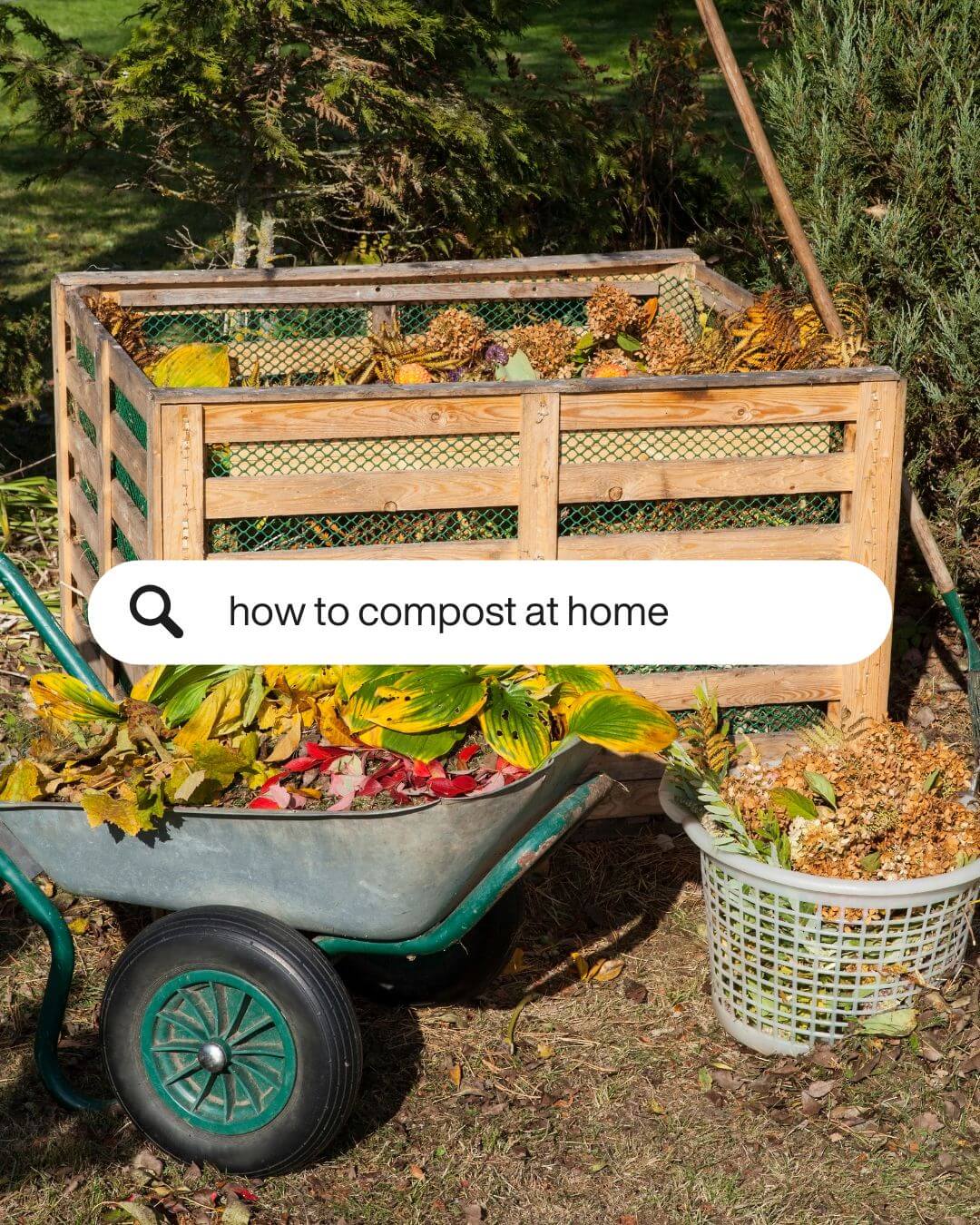 Google Search How to Compost at Home Sway