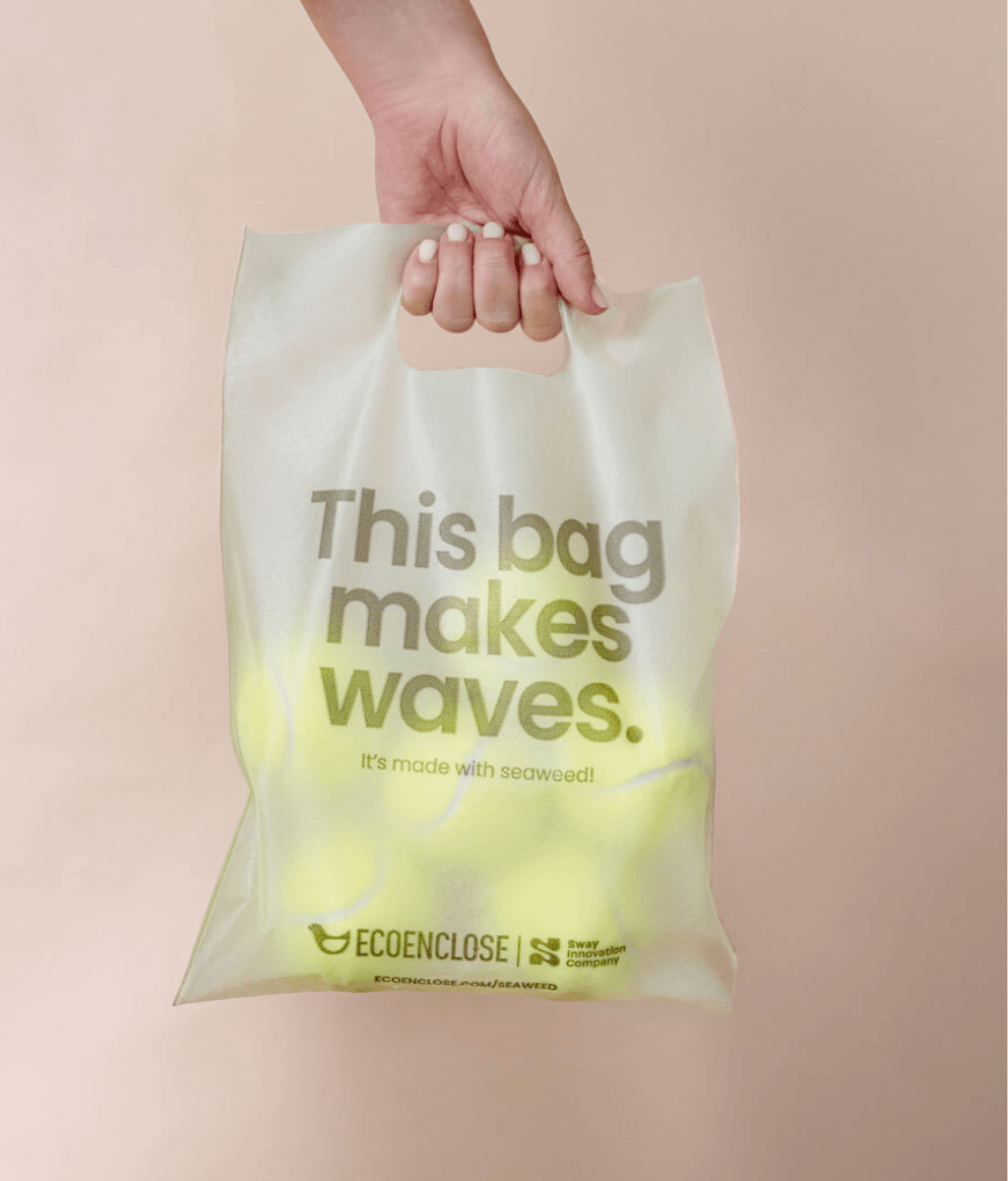 Sway Seaweed Handle Bag_1