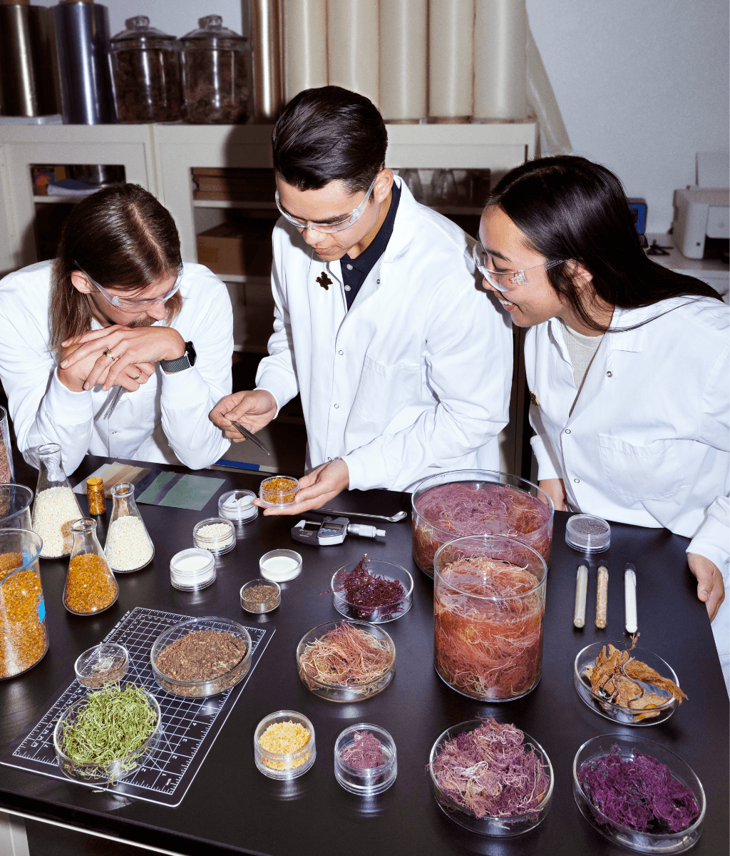 Sway Seaweed Packaging Team_3